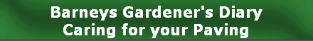 Barneys Gardener's Diary
Caring for your Paving