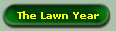 The Lawn Year