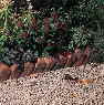 Rustic Brick Edging Unit