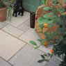 Natural Sandstone paving in Greyfell