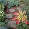 Random Stepping Stones in Weathered Stone